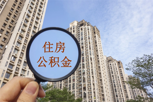 梨树县公积金取（最新取住房公积金流程）